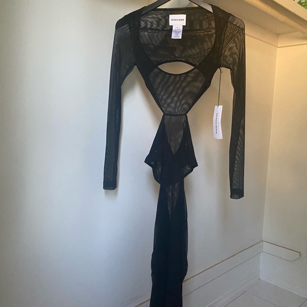 Sheer Black Long Sleeve Dress